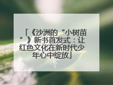 《沙洲的“小树苗”》新书首发式：让红色文化在新时代少年心中绽放