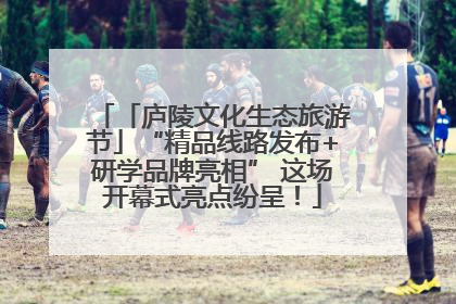 「庐陵文化生态旅游节」“精品线路发布+研学品牌亮相” 这场开幕式亮点纷呈！