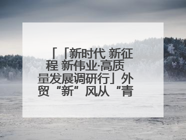 「新时代 新征程 新伟业·高质量发展调研行」外贸“新”风从“青”来 “双向奔赴”启新程