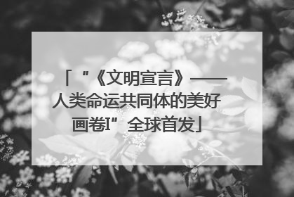 “《文明宣言》——人类命运共同体的美好画卷I”全球首发