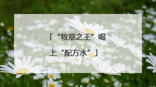 “牧草之王”喝上“配方水”