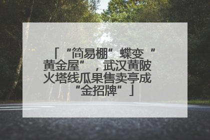 “简易棚”蝶变“黄金屋”，武汉黄陂火塔线瓜果售卖亭成“金招牌”