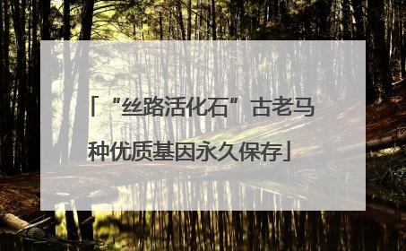 “丝路活化石”古老马种优质基因永久保存