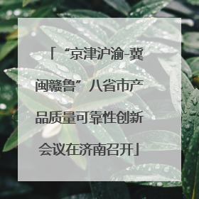 “京津沪渝-冀闽赣鲁”八省市产品质量可靠性创新会议在济南召开