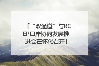 “双通道”与RCEP口岸协同发展推进会在怀化召开