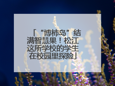 “博柿岛”结满智慧果！松江这所学校的学生在校园里探险