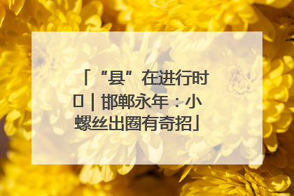 “县”在进行时⑬｜邯郸永年：小螺丝出圈有奇招