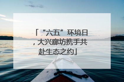 “六五”环境日，大兴廊坊携手共赴生态之约