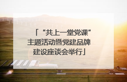 “共上一堂党课”主题活动暨党建品牌建设座谈会举行