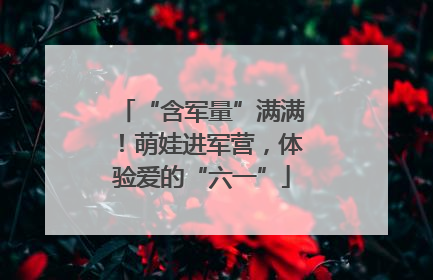 “含军量”满满！萌娃进军营，体验爱的“六一”