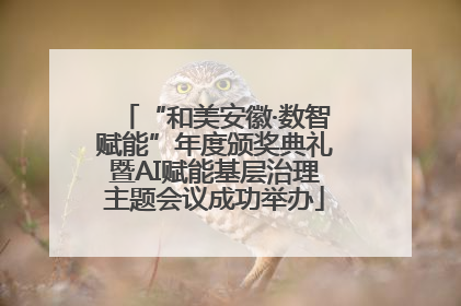 “和美安徽·数智赋能”年度颁奖典礼暨AI赋能基层治理主题会议成功举办