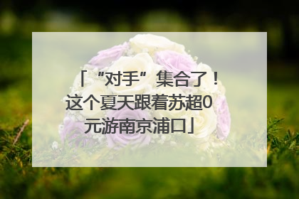 “对手”集合了！这个夏天跟着苏超0元游南京浦口