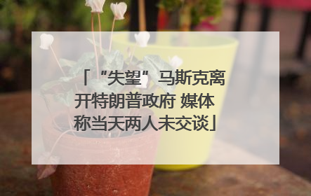 “失望”马斯克离开特朗普政府 媒体称当天两人未交谈