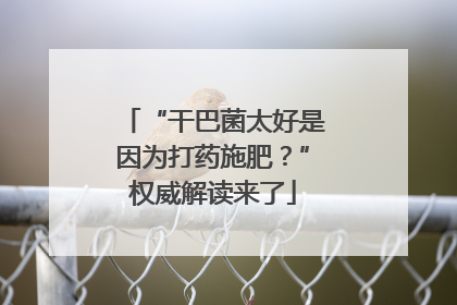 “干巴菌太好是因为打药施肥？”权威解读来了
