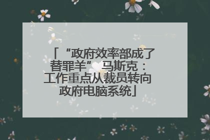 “政府效率部成了替罪羊” 马斯克：工作重点从裁员转向政府电脑系统