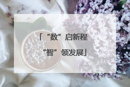 “数”启新程 “智”领发展