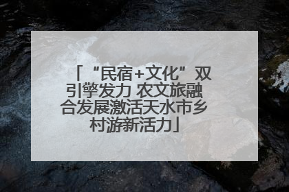 “民宿+文化”双引擎发力 农文旅融合发展激活天水市乡村游新活力