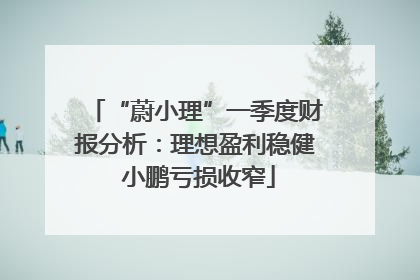 “蔚小理”一季度财报分析：理想盈利稳健 小鹏亏损收窄