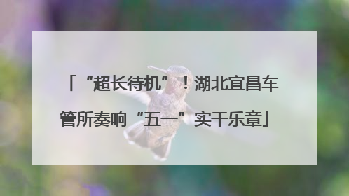 “超长待机”！湖北宜昌车管所奏响“五一”实干乐章