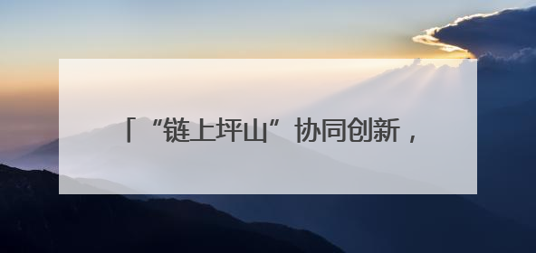 “链上坪山”协同创新，为企业发展充“储”未来