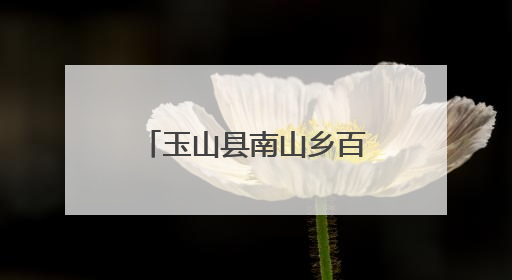 玉山县南山乡百姓包粽子大赛火热来袭（图）