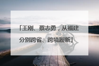 王刚、蔡志勇，从福建分别跨省、跨境履新