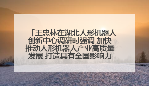 王忠林在湖北人形机器人创新中心调研时强调 加快推动人形机器人产业高质量发展 打造具有全国影响力的研发创新基地