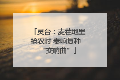 灵台：麦茬地里抢农时 奏响复种“交响曲”