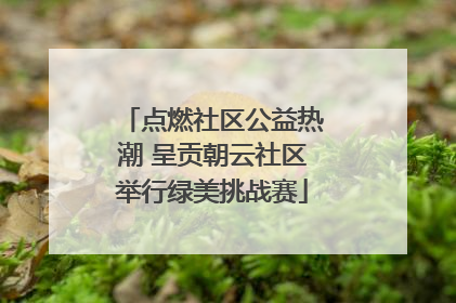 点燃社区公益热潮 呈贡朝云社区举行绿美挑战赛