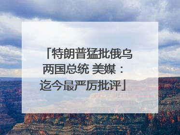 特朗普猛批俄乌两国总统 美媒：迄今最严厉批评