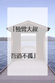 独臂大叔 吾道不孤