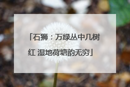 石狮：万绿丛中几树红 湿地荷塘韵无穷