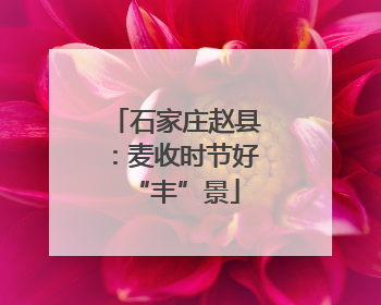 石家庄赵县：麦收时节好“丰”景