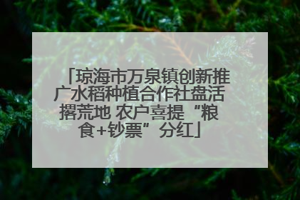 琼海市万泉镇创新推广水稻种植合作社盘活撂荒地 农户喜提“粮食+钞票”分红