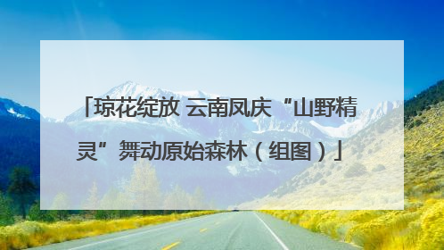 琼花绽放 云南凤庆“山野精灵”舞动原始森林（组图）