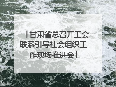 甘肃省总召开工会联系引导社会组织工作现场推进会