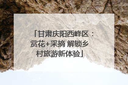甘肃庆阳西峰区：赏花+采摘 解锁乡村旅游新体验