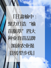 甘肃榆中：聚力打造“榆苗陇萃”四大种业育苗品牌 加速农业强县转型步伐