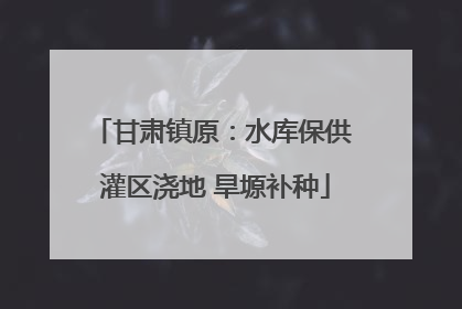 甘肃镇原：水库保供 灌区浇地 旱塬补种