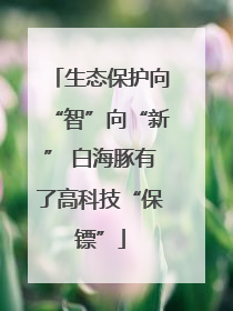 生态保护向“智”向“新” 白海豚有了高科技“保镖”