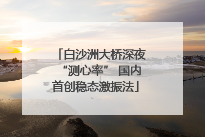 白沙洲大桥深夜“测心率” 国内首创稳态激振法