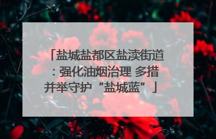 盐城盐都区盐渎街道：强化油烟治理 多措并举守护“盐城蓝”