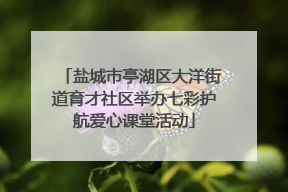 盐城市亭湖区大洋街道育才社区举办七彩护航爱心课堂活动