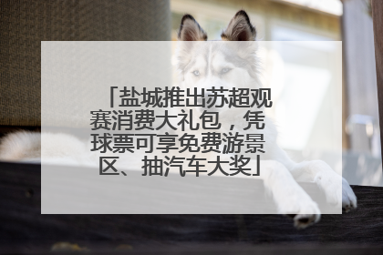 盐城推出苏超观赛消费大礼包，凭球票可享免费游景区、抽汽车大奖