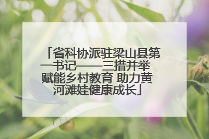 省科协派驻梁山县第一书记——三措并举 赋能乡村教育 助力黄河滩娃健康成长