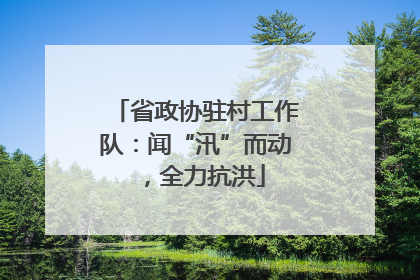 省政协驻村工作队：闻“汛”而动，全力抗洪