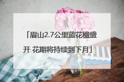 眉山2.7公里蓝花楹盛开 花期将持续到下月