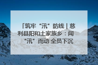 筑牢“汛”防线｜慈利县阳和土家族乡：闻“汛”而动 全员下沉筑牢防汛“安全堤”