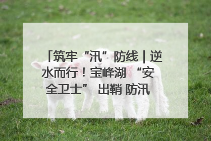 筑牢“汛”防线｜逆水而行！宝峰湖 “安全卫士” 出鞘 防汛应急再添硬核力量