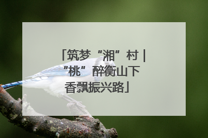 筑梦“湘”村｜“桃”醉衡山下 香飘振兴路